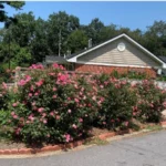 Hillcrest-7